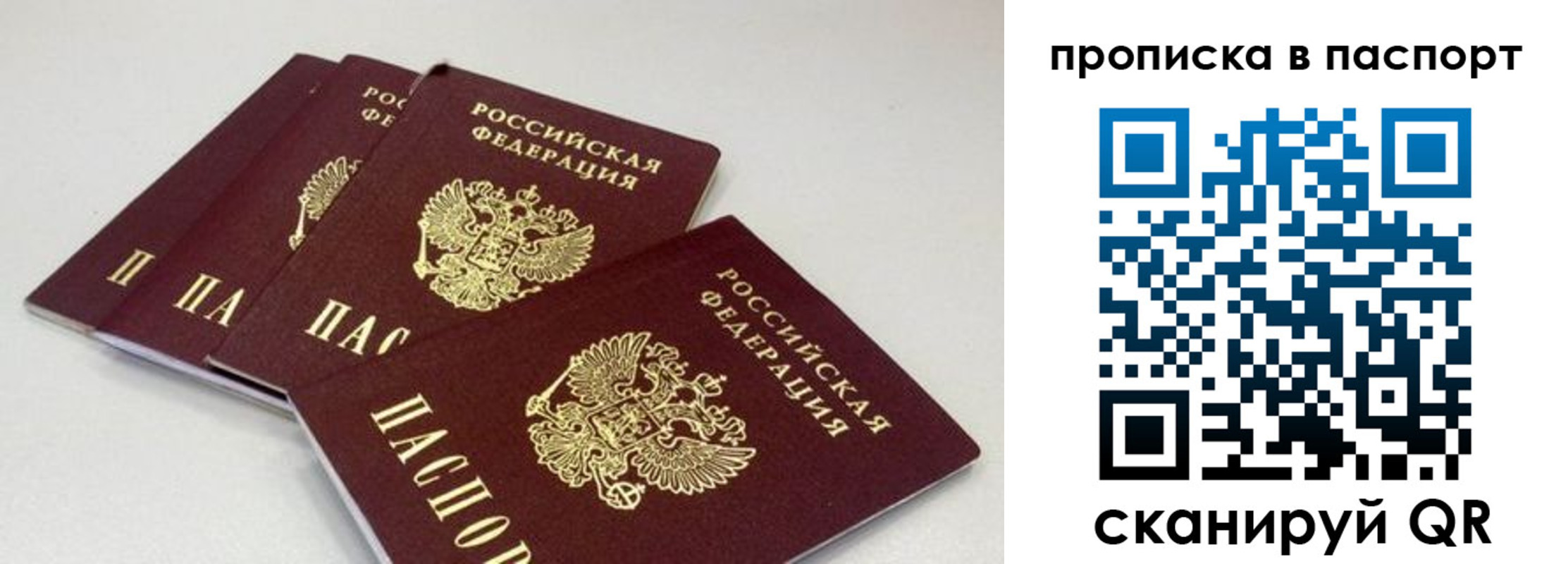 найти адрес прописки в Шумихе